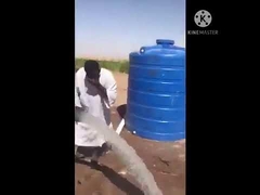 IP65 380V 30KW 37KW inverseur solaire de pompe de 3 phases 18 mois de garantie