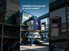 VEIKONG VFD dans un concasseur vertical